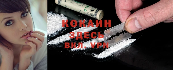 дурь Богородицк