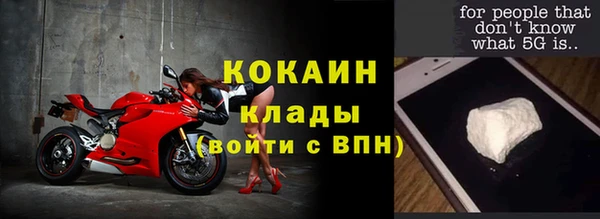дурь Богородицк