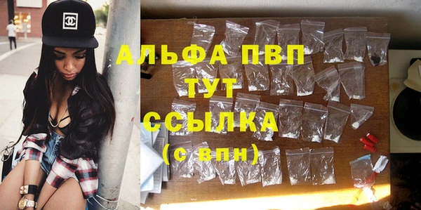 гидра Белокуриха