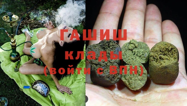 гидра Белокуриха